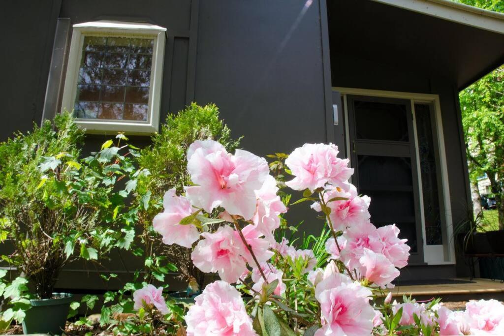 Ashwood Cottages Bright Exterior foto